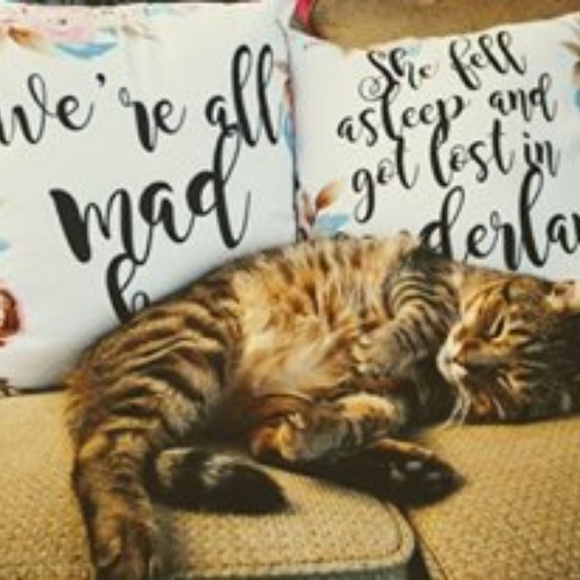 Meet your Posher, Mallory - Picture 4 of 7